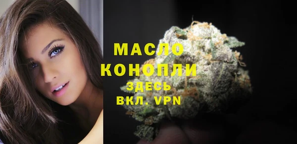 гидра Краснослободск