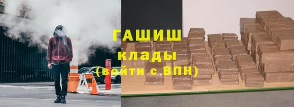 гидра Краснослободск