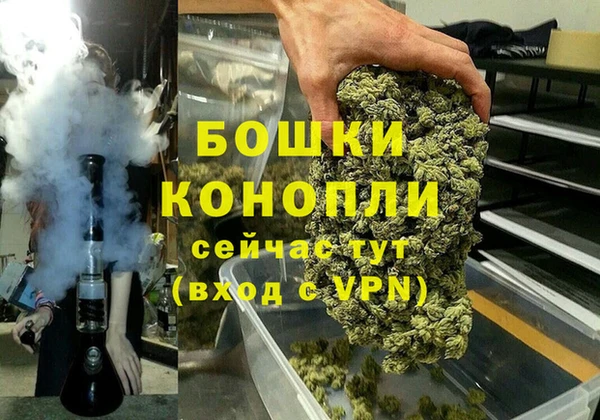 гидра Краснослободск