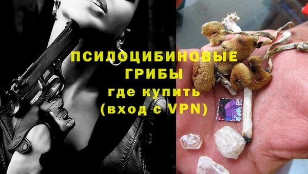 ПСИЛОЦИБИНОВЫЕ ГРИБЫ Кукмор