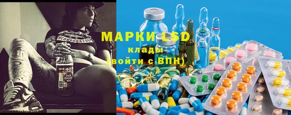 гидра Краснослободск