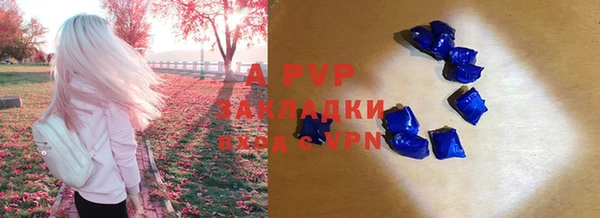гидра Краснослободск