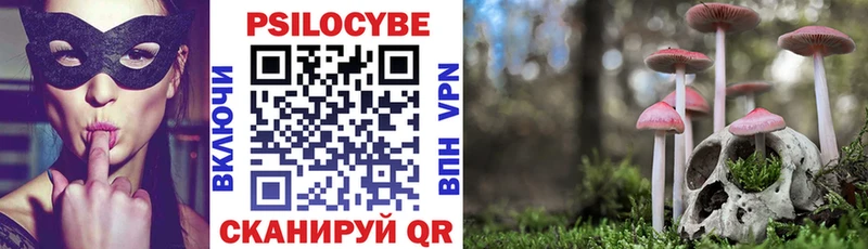 Купить закладки Лаишево Псилоцибиновые грибы Magic Shrooms
